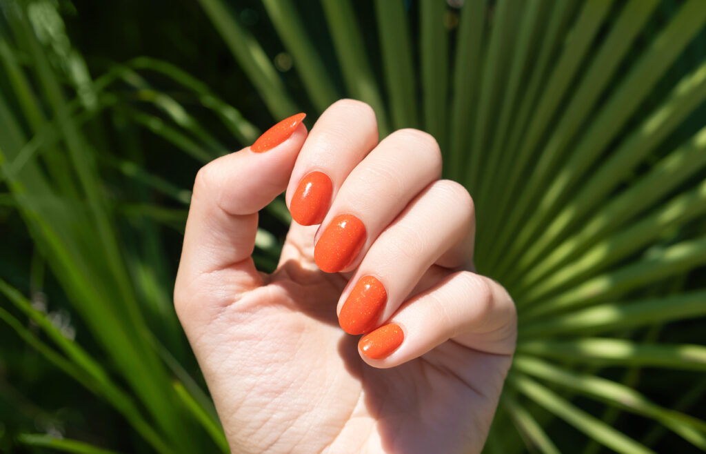 what is shellac nails